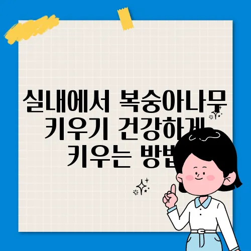 실내에서 복숭아나무 키우기 건강하게 키우는 방법