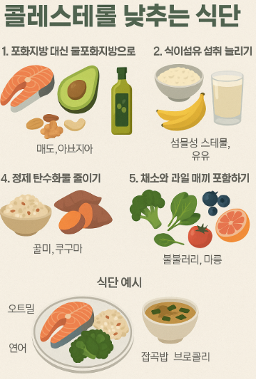 콜레스테롤 식단 예시