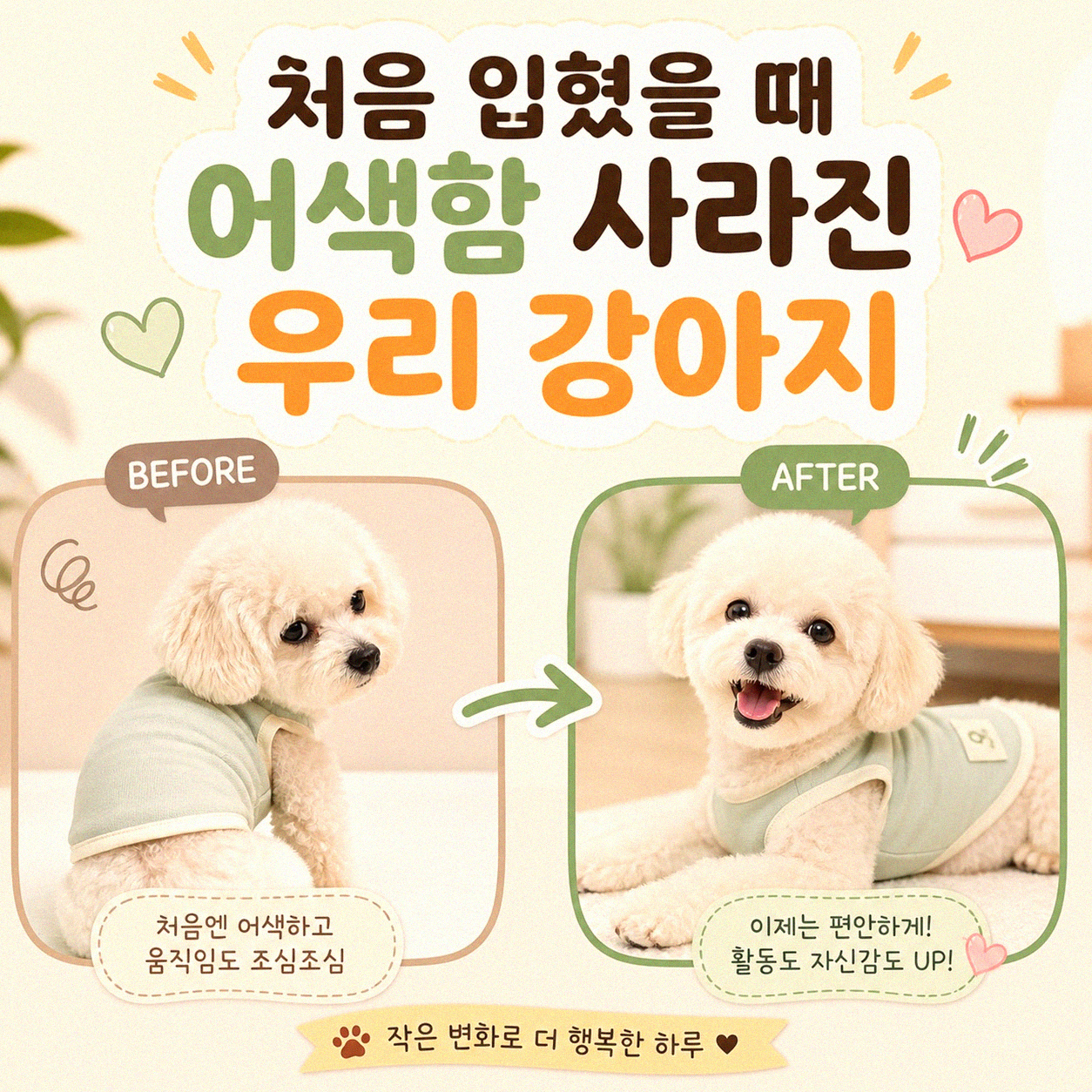 강아지 옷 입히니 정말 달라졌어요