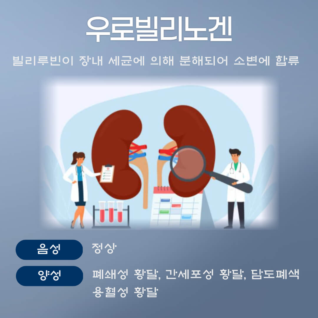 우로빌리노겐