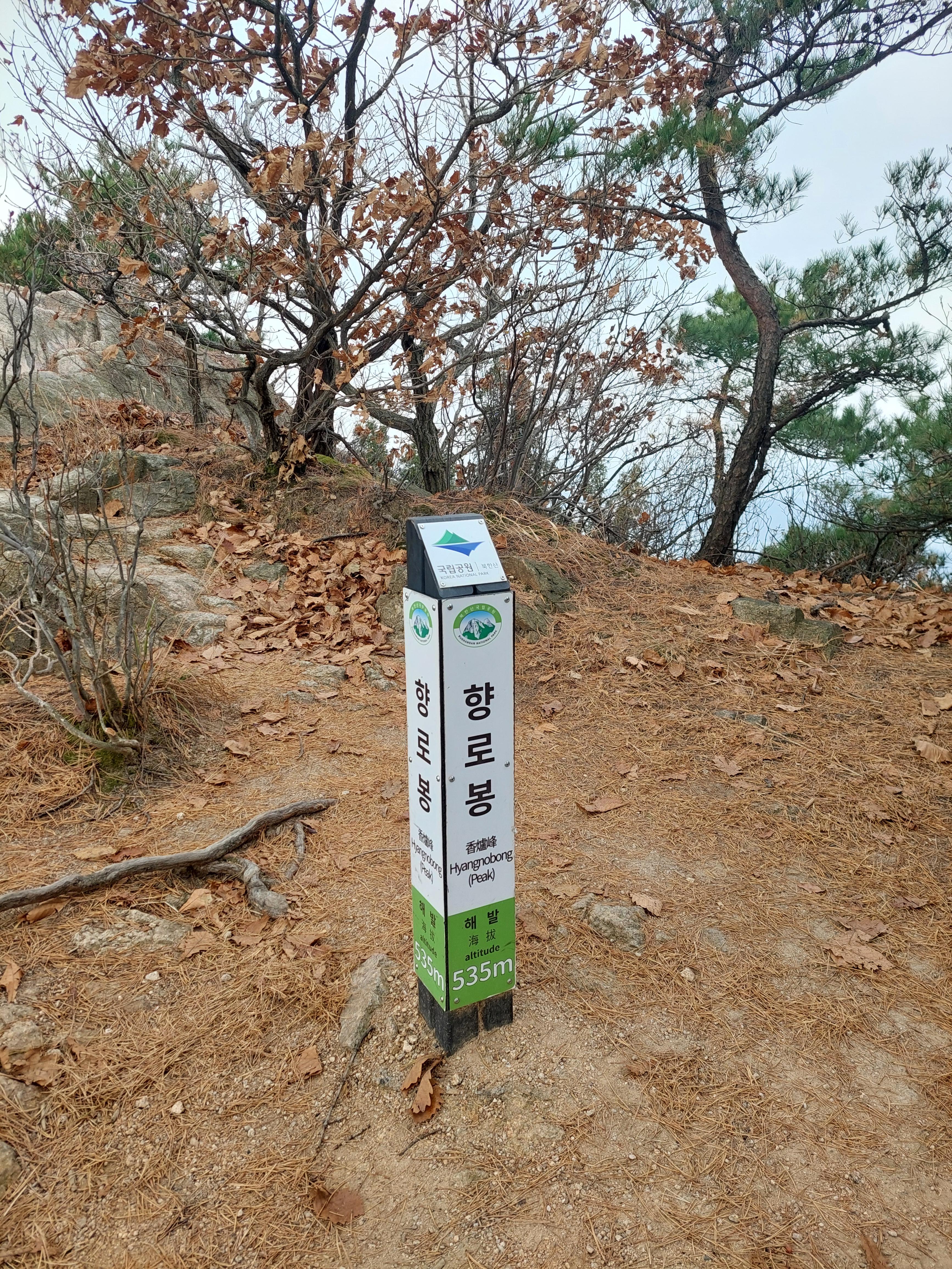 비봉