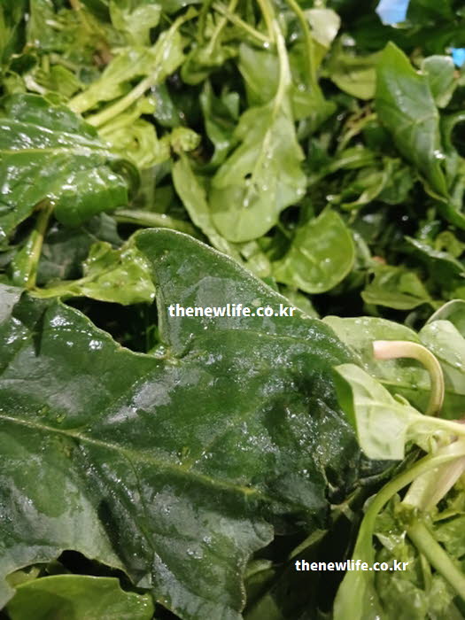 시금치 효능 흡수율을 높이는 지방 곁들임 섭취 방법을 보여주는 실사진