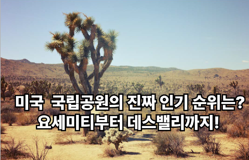 죠수아 트리 이미지 ( 미국 국립공원 진짜 순위는, 요세미티부터 대스벨라 까지!)