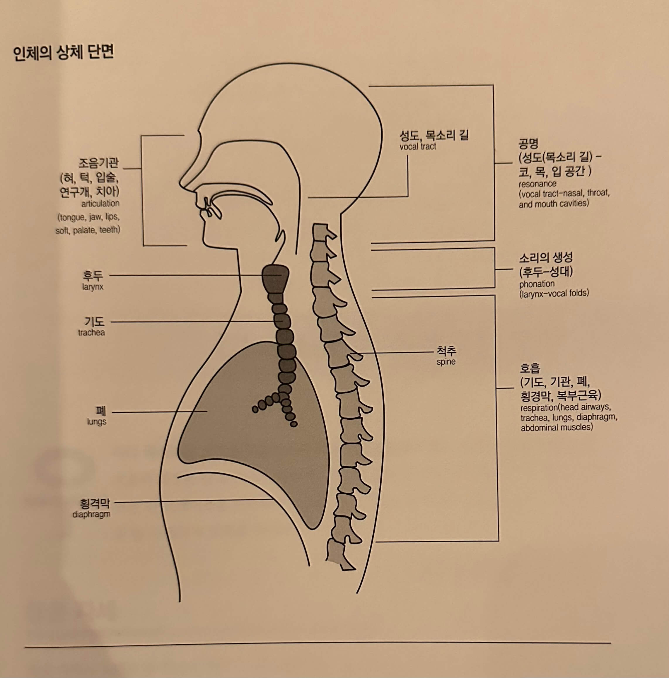 노래연습
