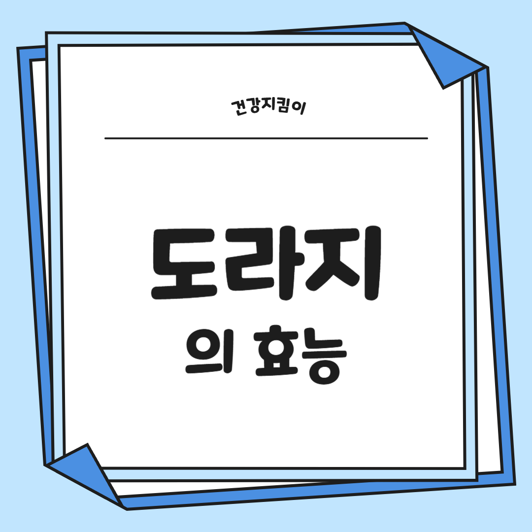 도라지 효능 부작용 고르는법 먹는법 꽃 총정리