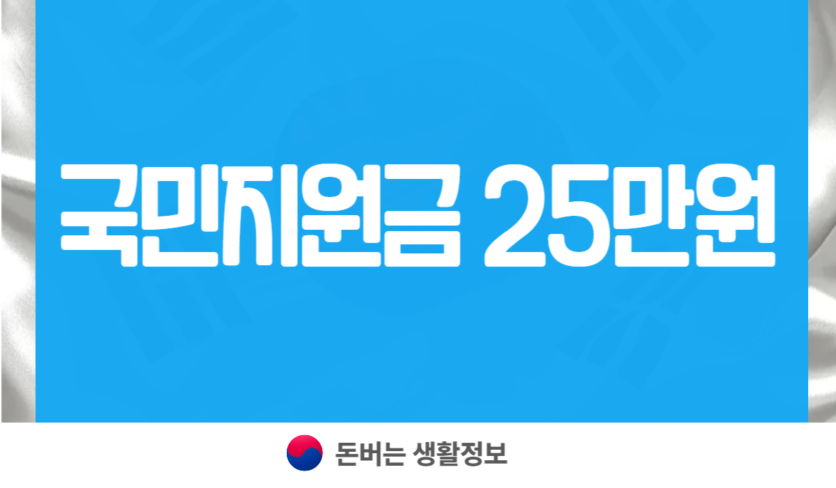 국민지원금 25만원