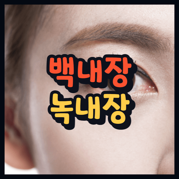 여성의-눈