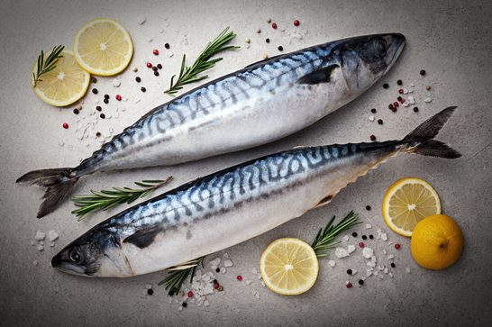 당뇨병에 좋은 음식_고등어