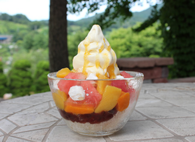 베어트리파크 단풍축제 기간 입장료 할인받기