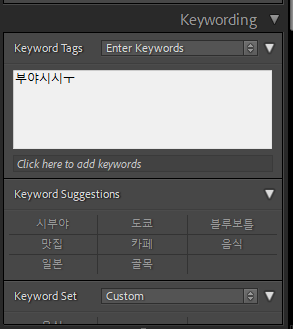 라이트룸 클래식의 키워드 입력시 오류 - 두번째 입력시 오류 발생