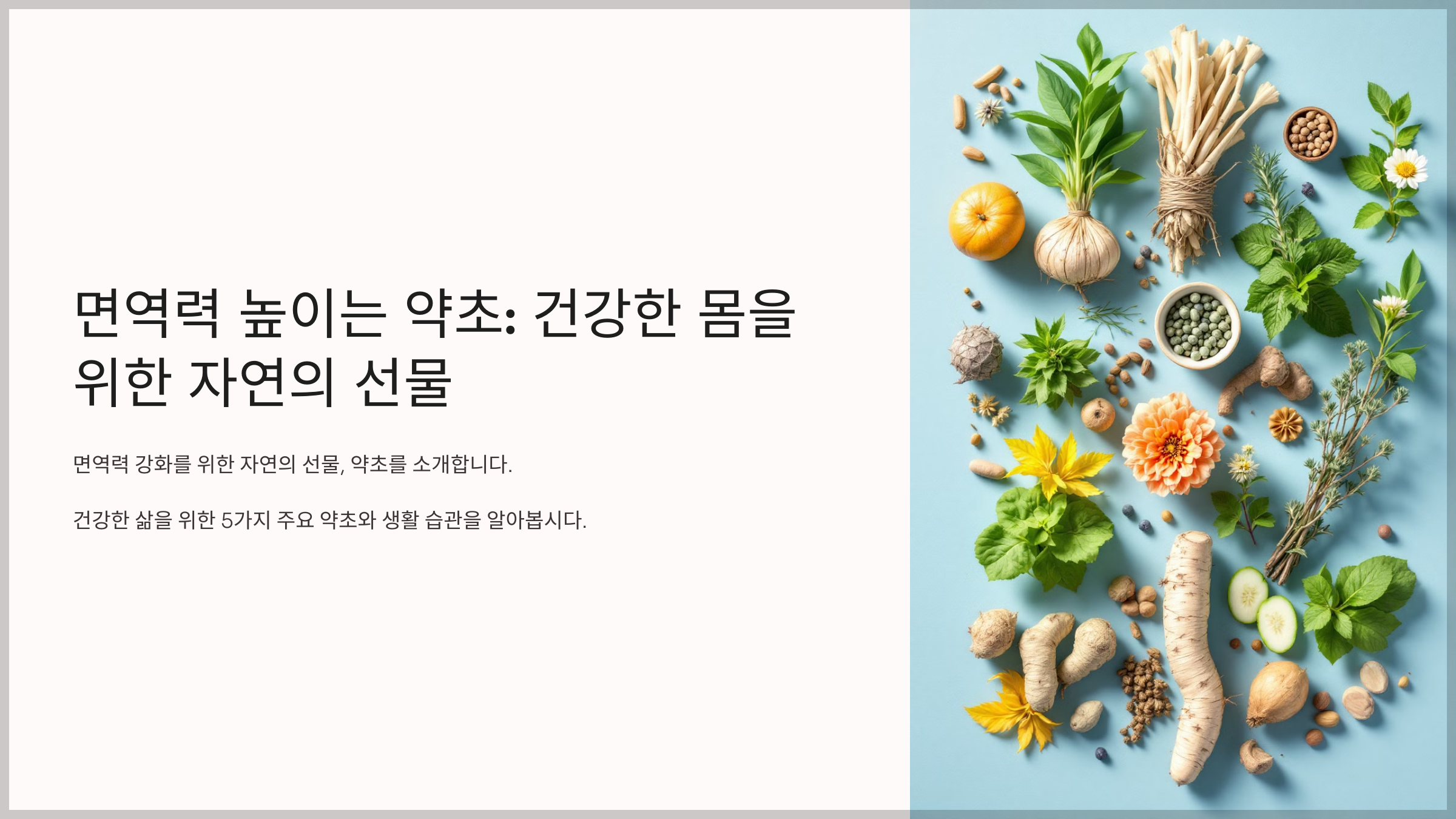 면역력 높이는 약초