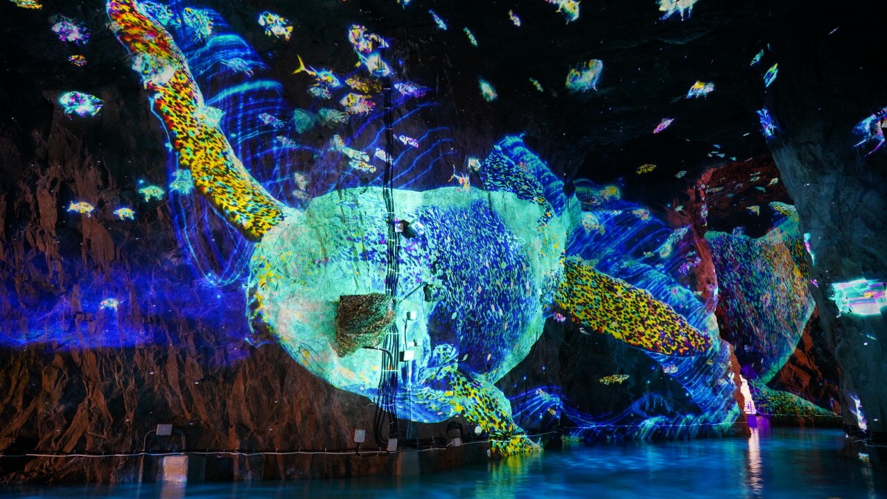 생방송투데이 3819회 3GO 여행 울산 여행 백만 도심 속 오아시스를 찾아서 편 언양불고기 맛집 언양삼거리 불고기와 대왕암, 스쿠버다이빙, 자수정동굴나라 추천