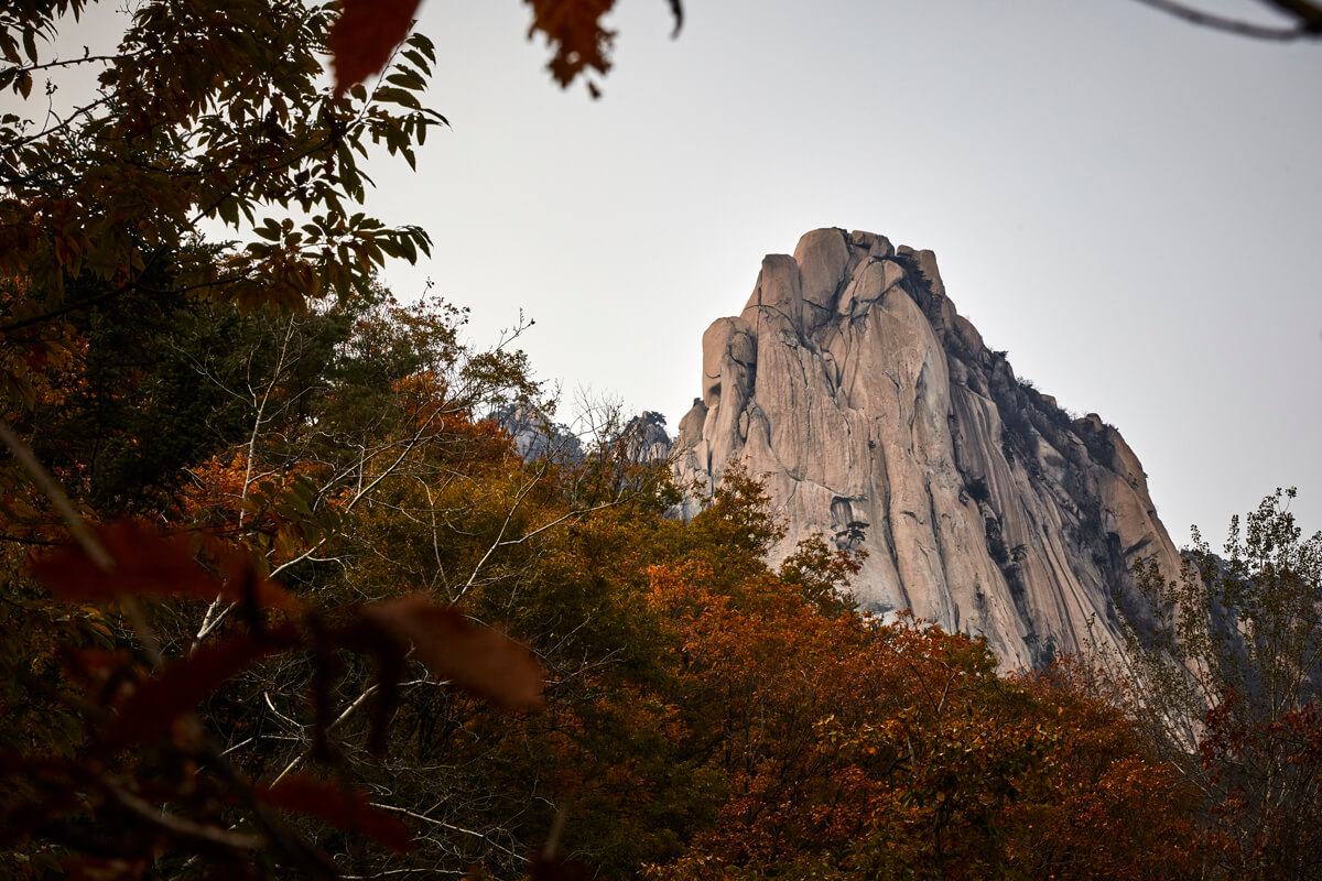 가을 단풍 여행지 추천 장소 _ 두륜산, 무등산, 내장산, 계룡산, 북한산