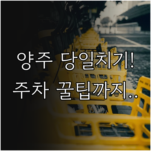 서울 근교 양주 당일치기 여행 코스 ..
