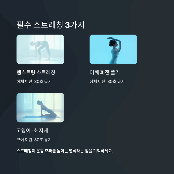 건강 의료