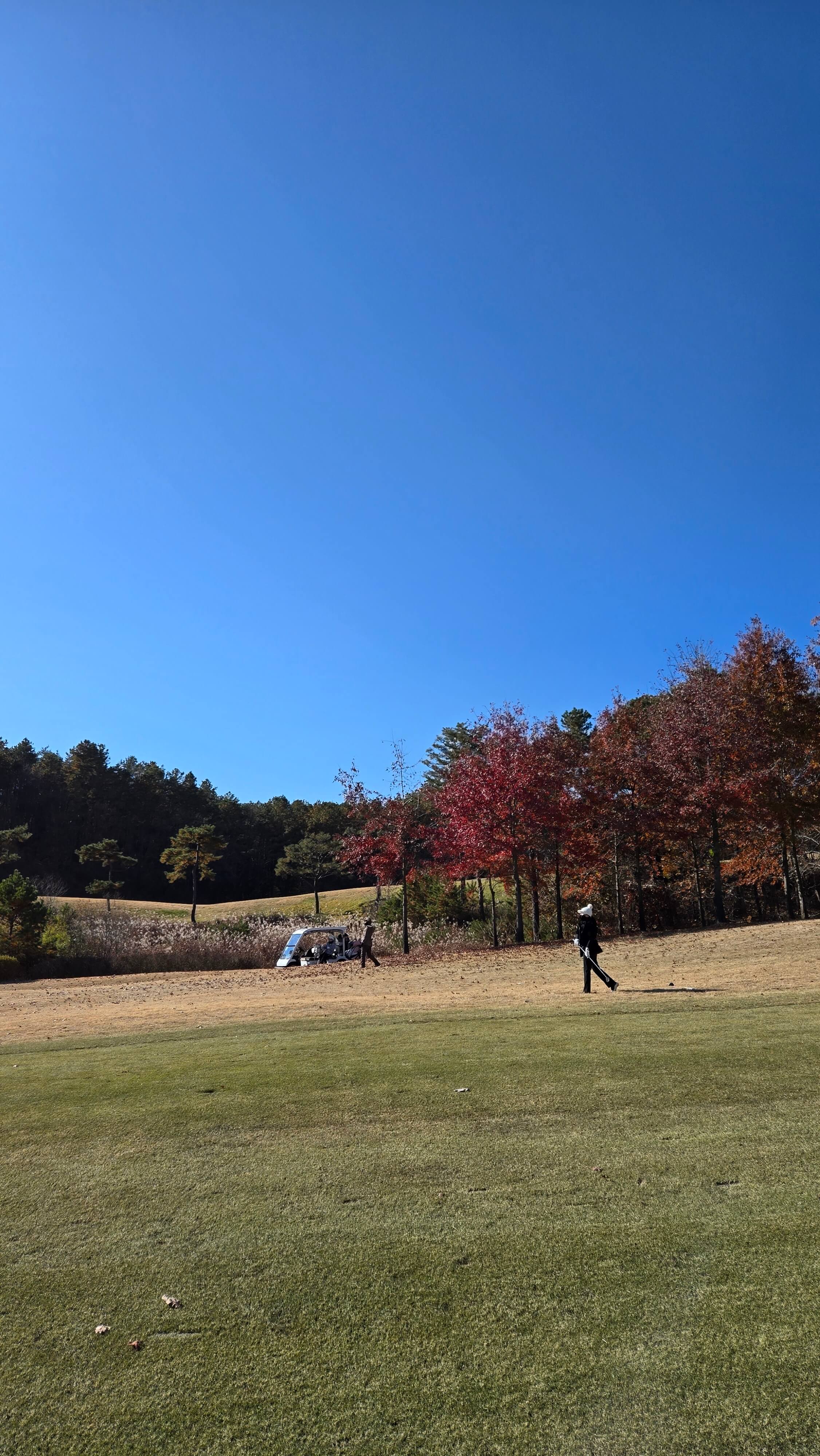페럼클럽cc-안도다다오가 설계한 최초의 클럽하우스
