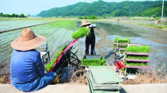 농사 물 관리 비가림 설치 배수로 정비 가뭄 대비 빗물 저장_2