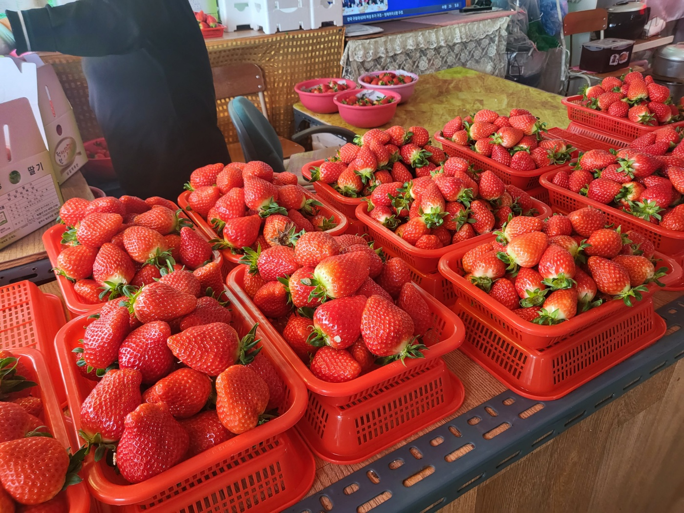 문의 딸기 (싱싱딸기)