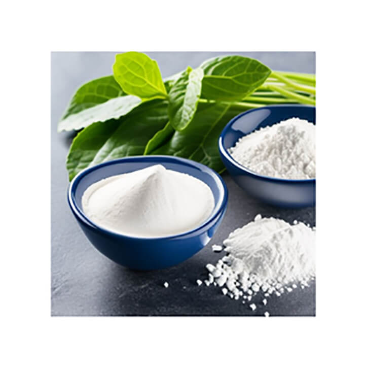 콘드로이친분말