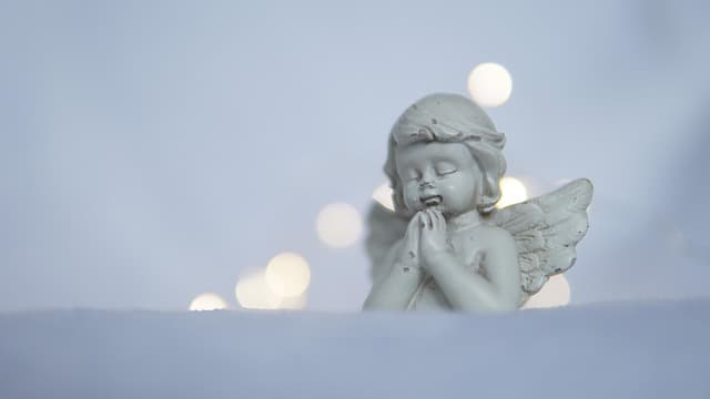 감사를 기록하는 습관이 행복을 높이는 이유