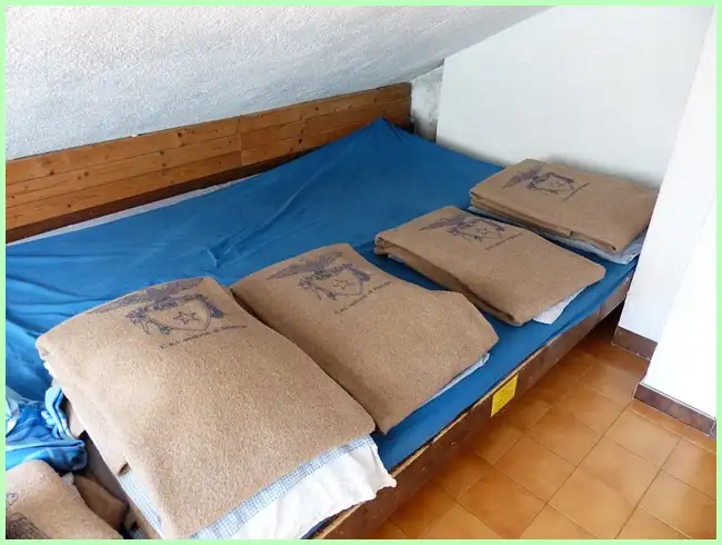 내 주변 주위 대피소 찾기