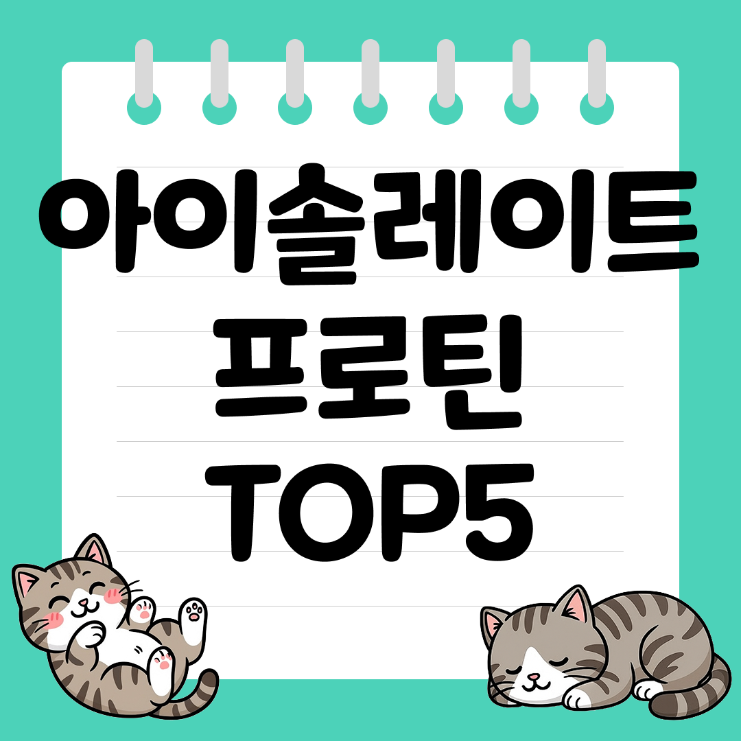 유당 걱정 없는 단백질 아이솔레이트 프로틴 추천 순위 TOP5