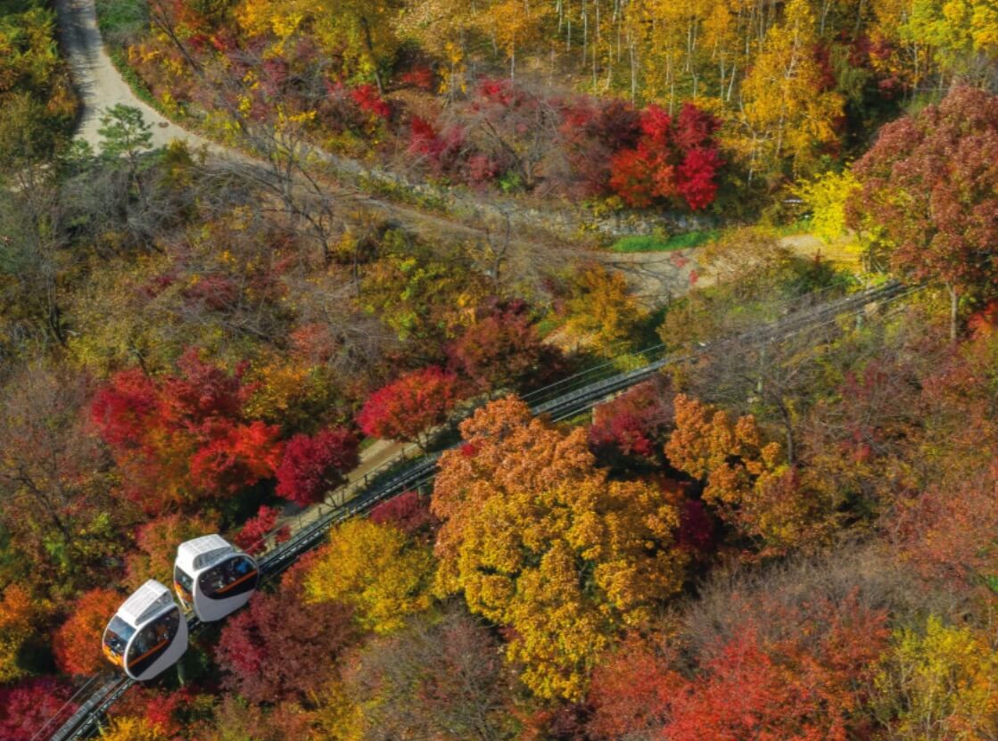 화담숲 단풍 예약