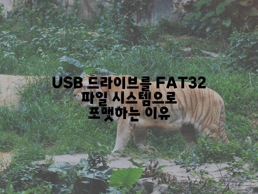USB 드라이브를 FAT32 파일 시스템으로 포맷하는 이유