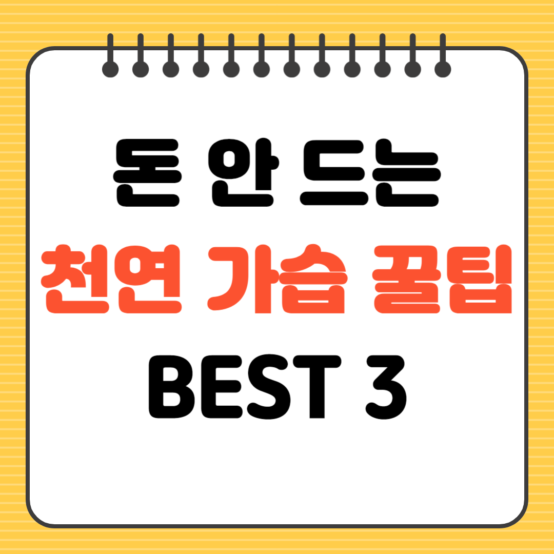 돈 안 드는 천연 가습 꿀팁 BSET 3