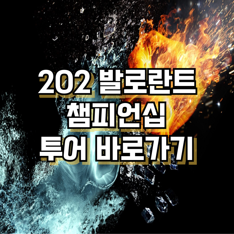 2025 발로란트 챔피언십 투어 바로가기