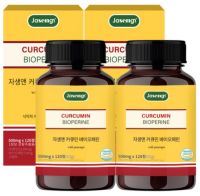 자생앤 커큐민 바이오페린, 120정, 2개