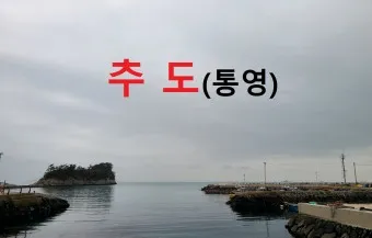 통영 추도 배시간표 배편 예매 요금 예약_17