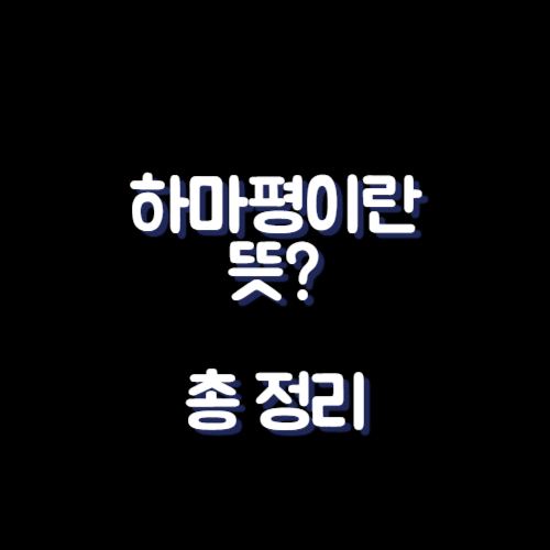 하마평이란
