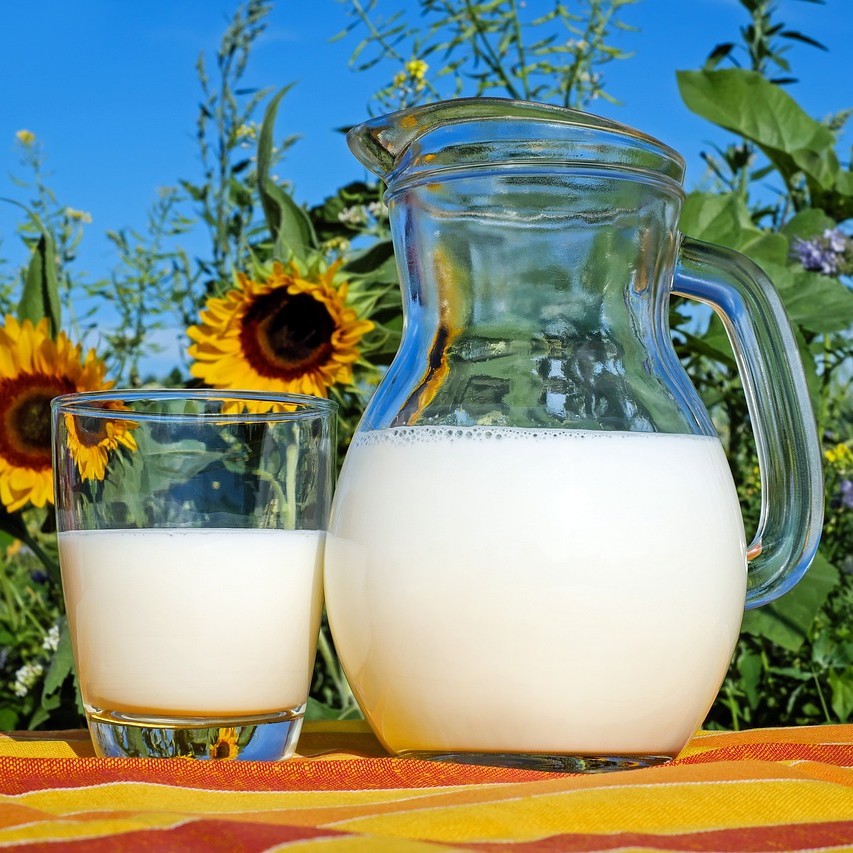 칼슘(Calcium)이 풍부하게 함유되어 있는 우유 사진