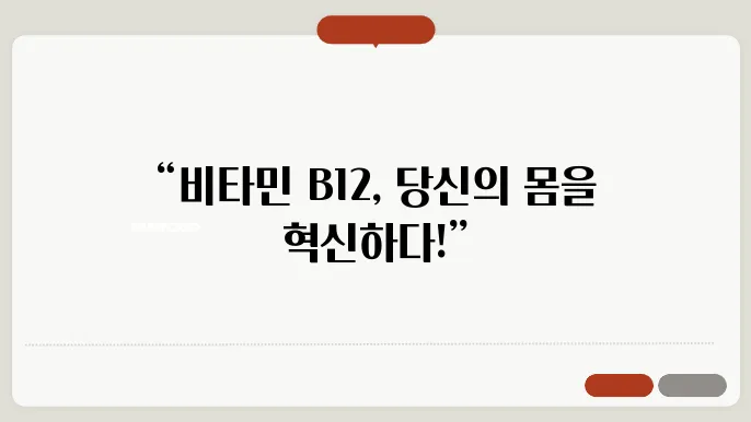 비타민B12 효능