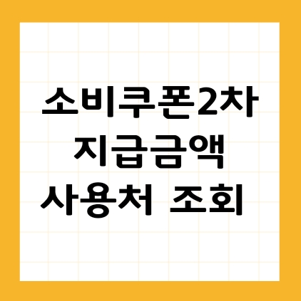 소비쿠폰2차 금액 사용처 조회하기 썸네일