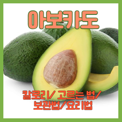 아보카도 다이어트