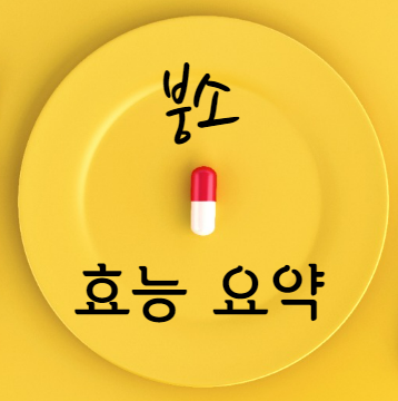 붕소 효능 요약