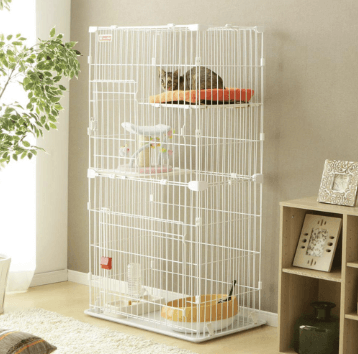 아이리스 캣타워