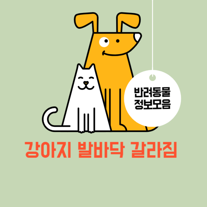 강아지-발바닥-갈라짐-썸네일