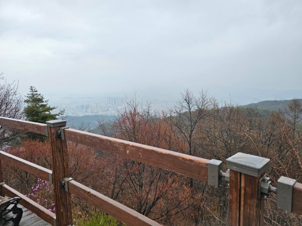 안개가 끼어있는 산