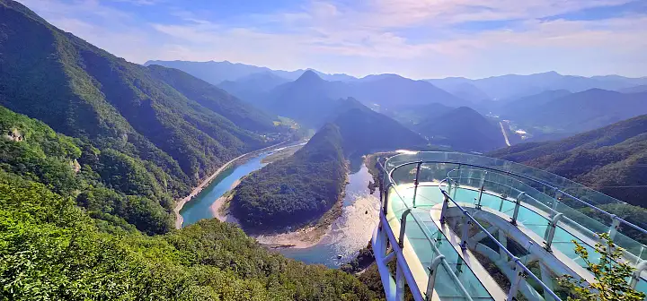 우리 캠핑 왔어요 강원 정선 오토 캠핑장 양떼목장 스카이워크 집와이어 액티비티 가볼만한 곳 추천