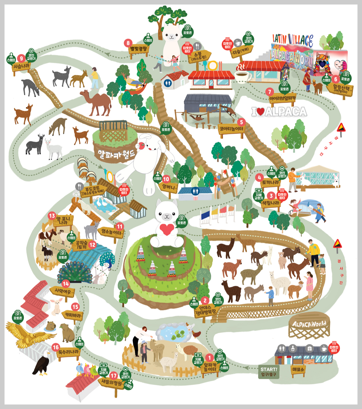 홍천 알파카 월드