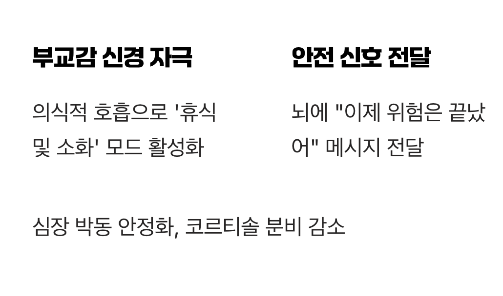 몸의 '비상벨'을 끄는 과학적 원리
