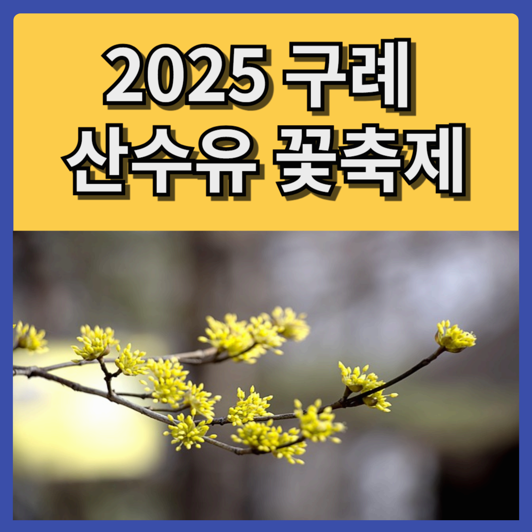 2025년 구례 산수유꽃축제 ! 노란 물결 속에서 만나는 봄의 향연