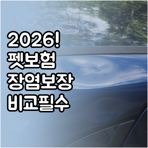 2026년 펫보험 변경 사항과 장염 ..