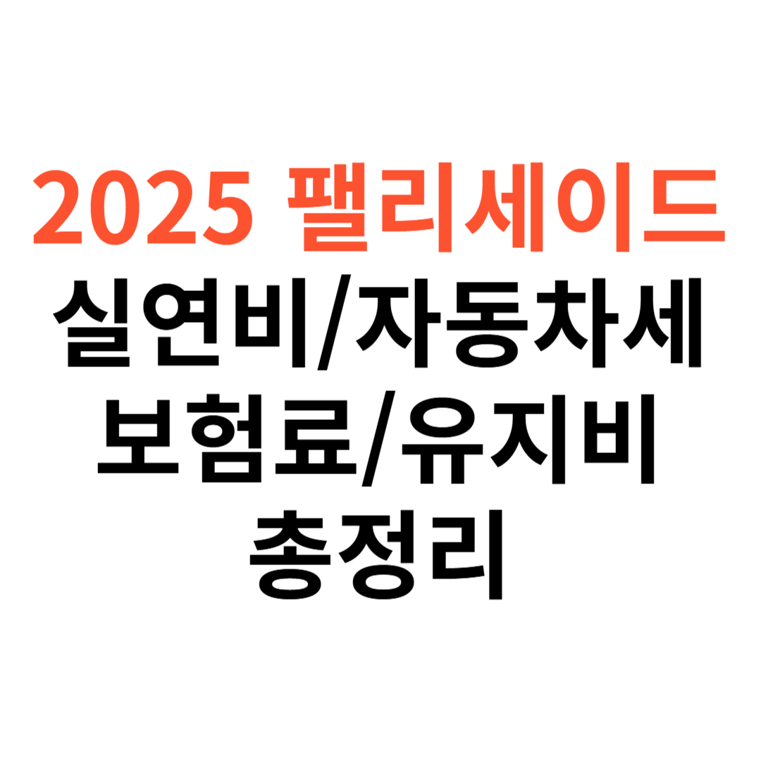 팰리세이드 차량 실연비
