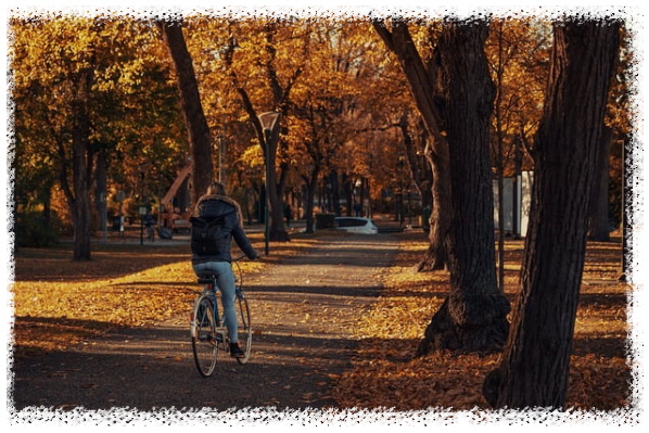 자전거-남자-공원