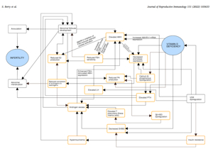 다난성난소 증후군 영양제
