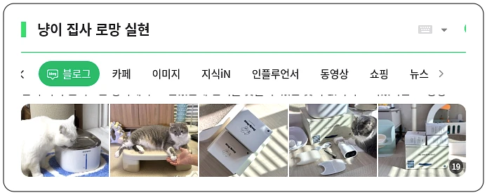 냥이 집사 로망 실현_1_subsection